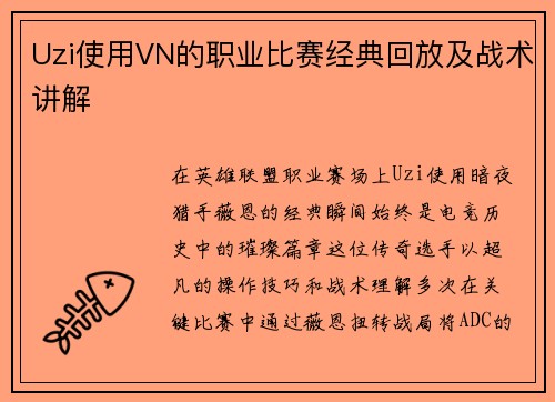 Uzi使用VN的职业比赛经典回放及战术讲解